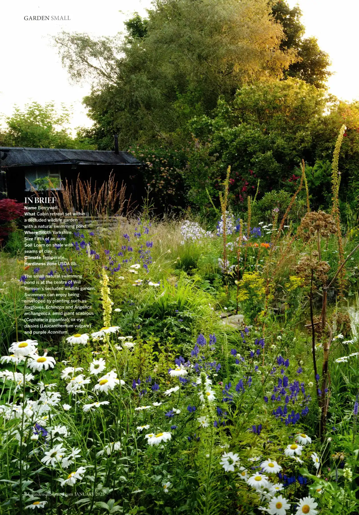 Gardens Illustrated, January 2025 — 'In Brief' page on Berrywell, Will Tomson's wildlife garden with a natural swimming pond in South Yorkshire