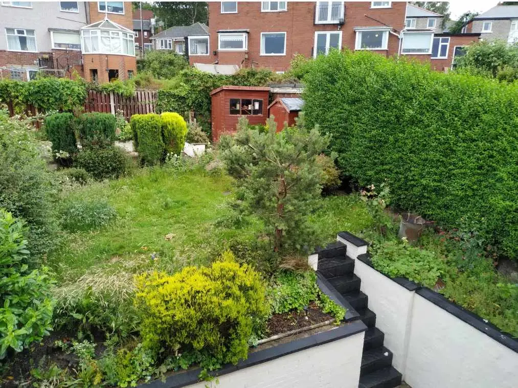 Before: overgrown lawn, shed and hedge in the walled garden