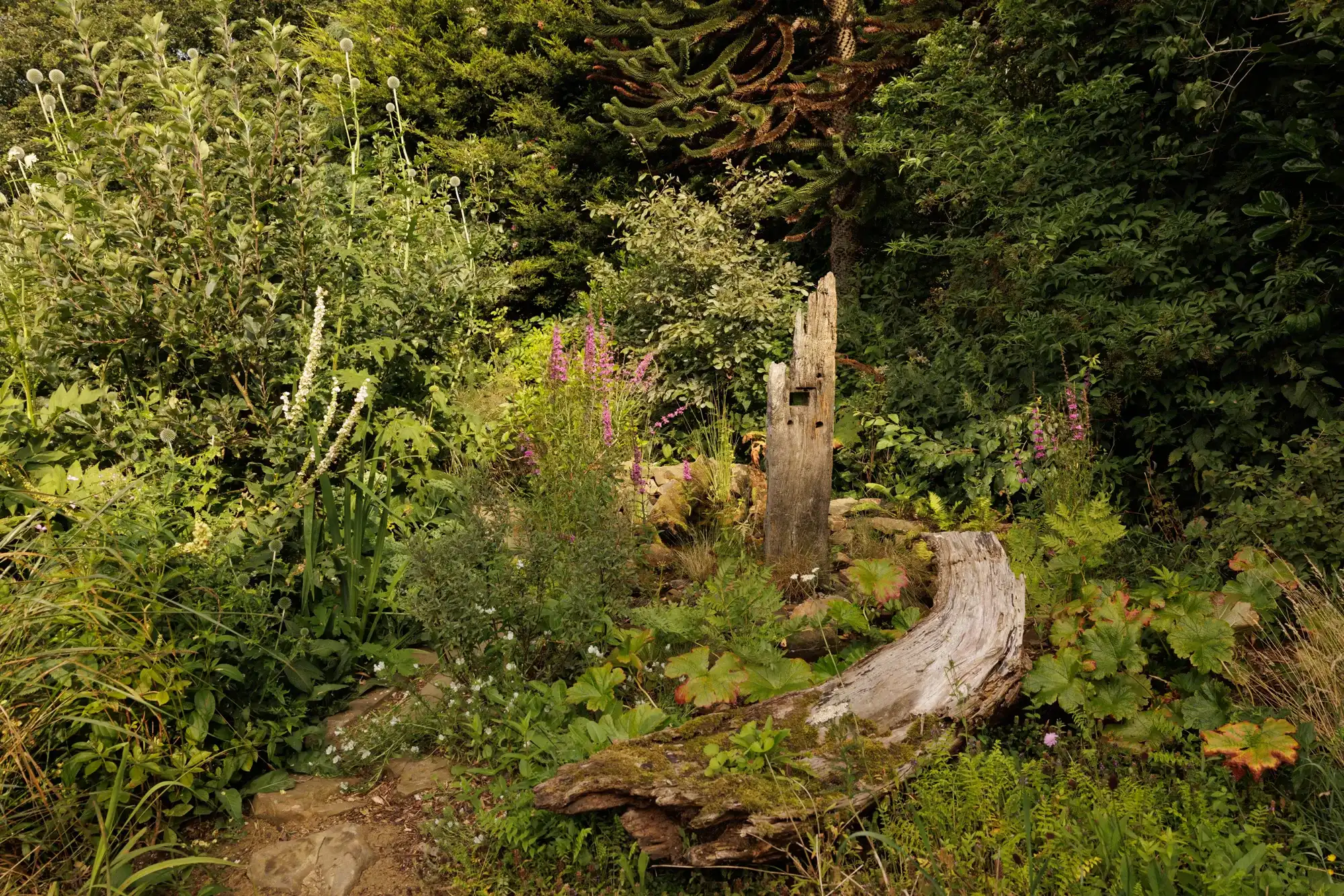 BerryWell: Driftwood log woodland border
