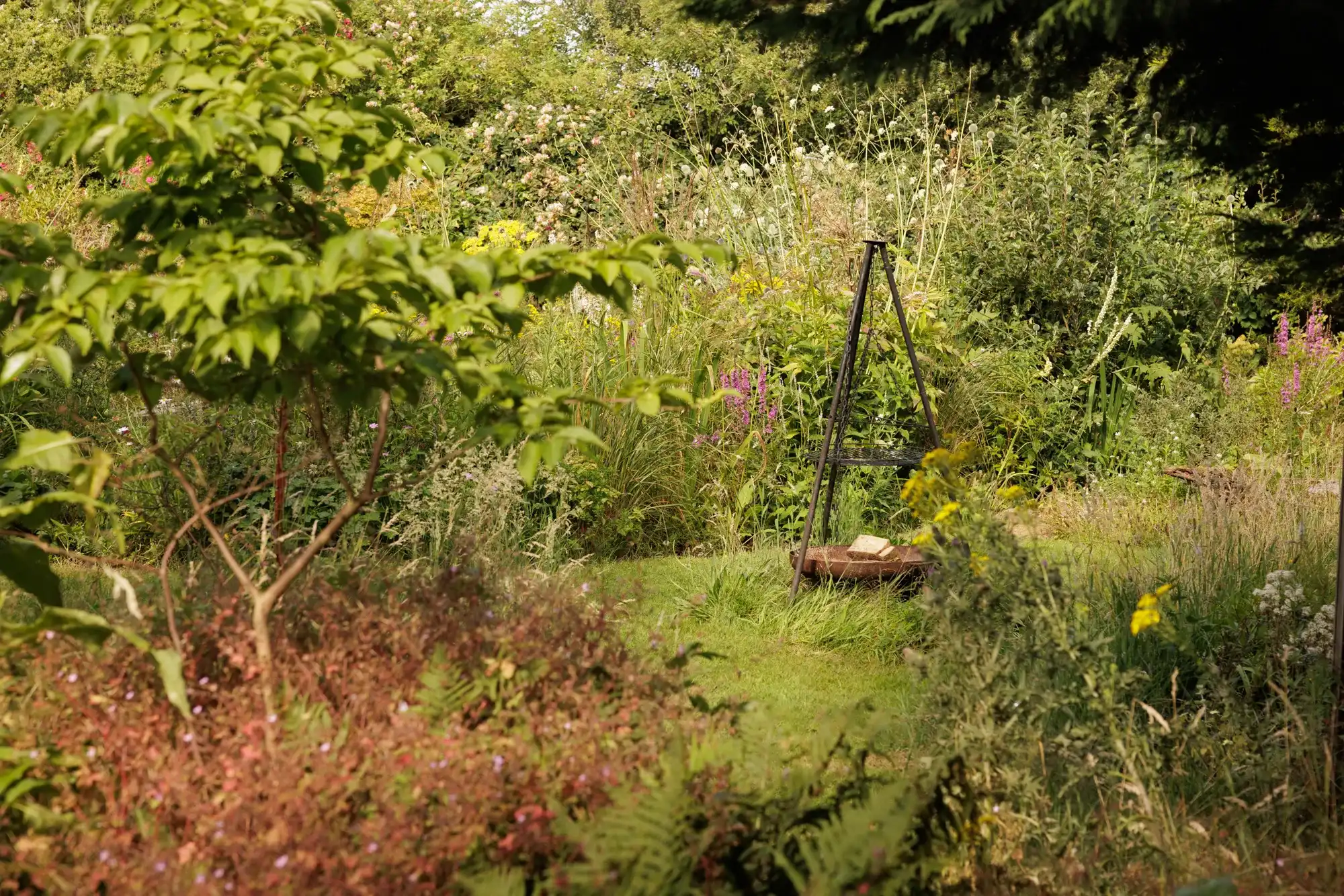 BerryWell: Fire pit meadow path