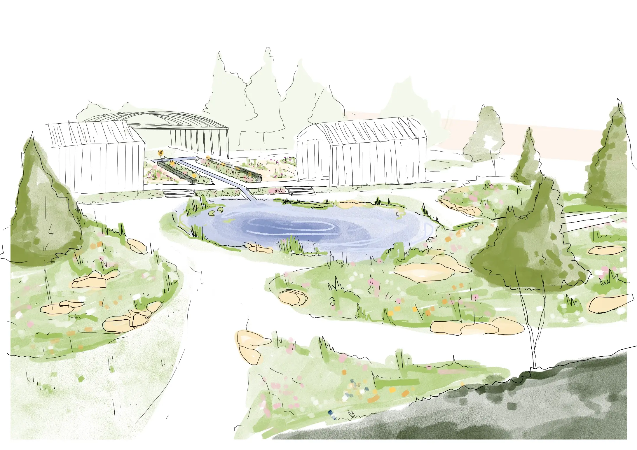 Hand-drawn garden design sketch of a wildlife pond with rill, meadow planting, boulders and winding paths