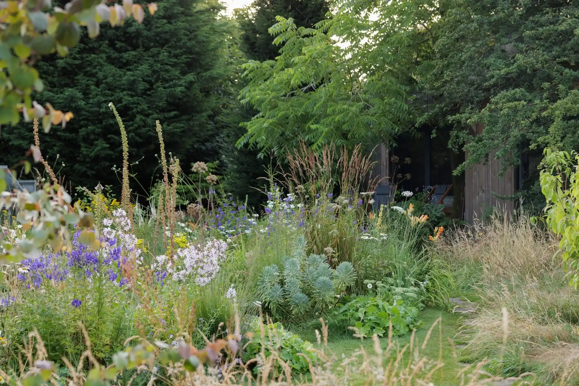 Mixed herbaceous border with layered planting beside a curved lawn