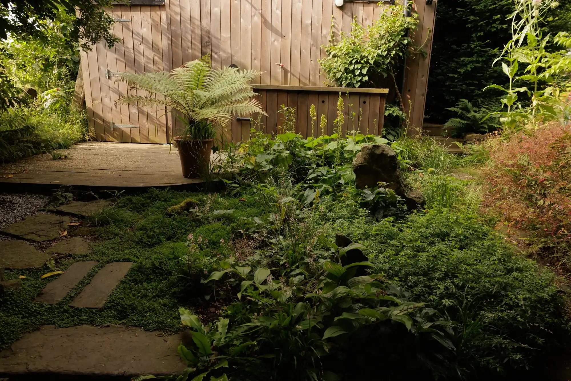 BerryWell: Tree fern shade planting timber deck