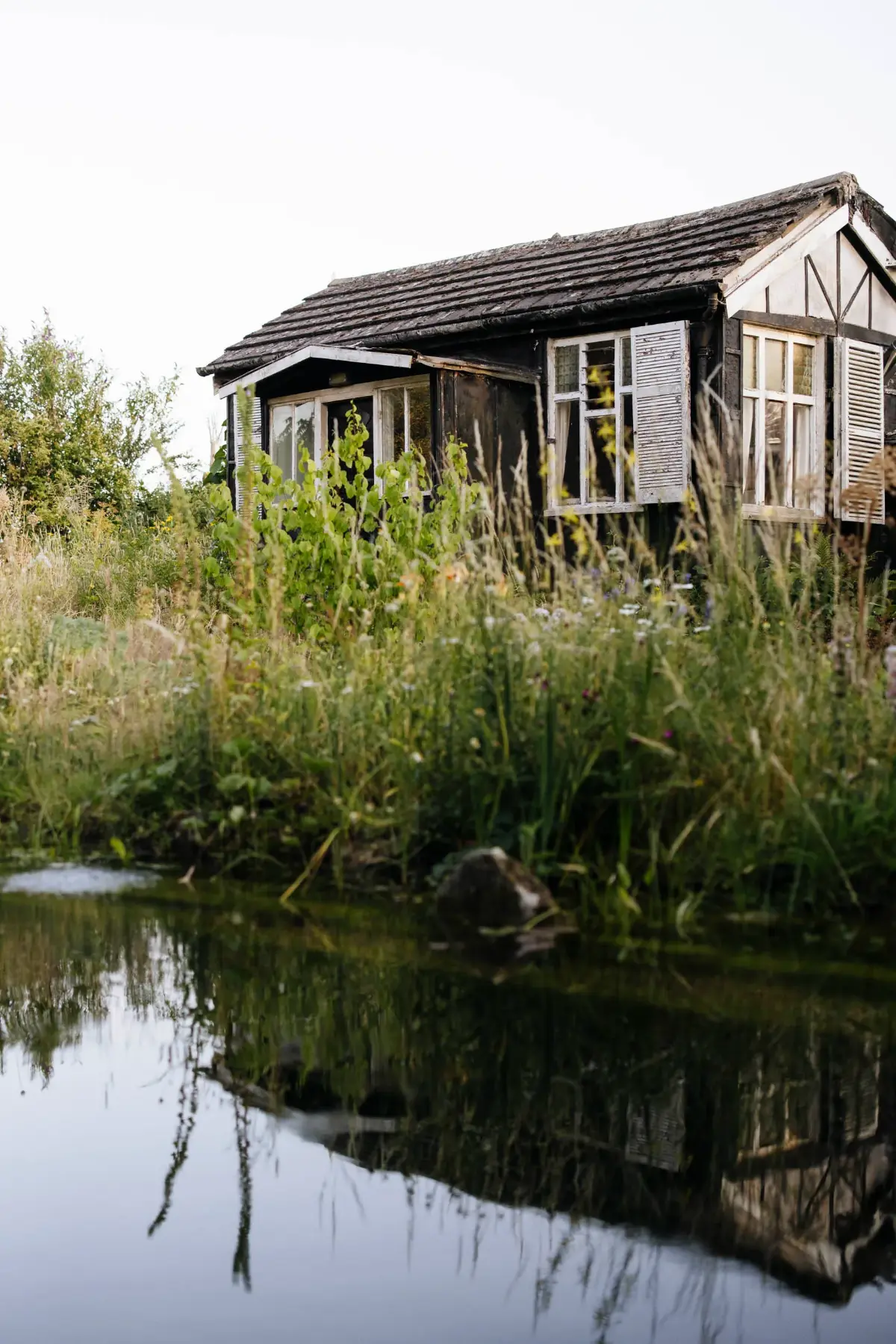 BerryWell: Wildlife pond cabin reflection