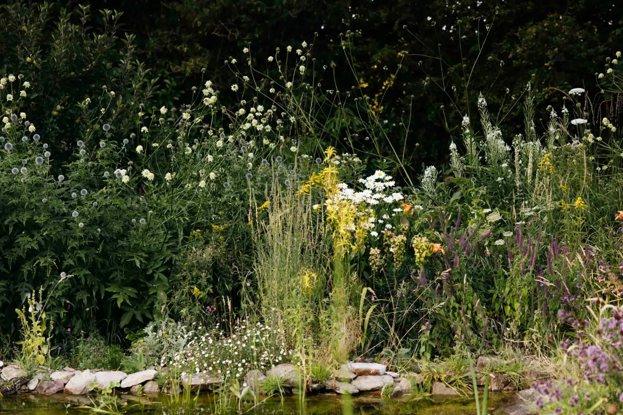 Wildlife pond with a mixed perennial border